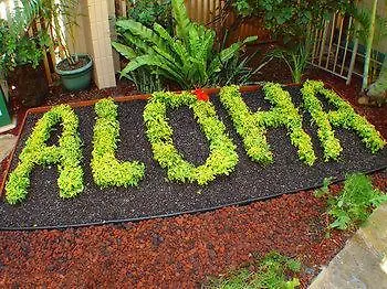 Kaleialoha Condominiums Lahaina Hotel apartamentowy